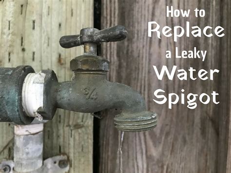 Replace outdoor faucet spigot. Things To Know About Replace outdoor faucet spigot. 